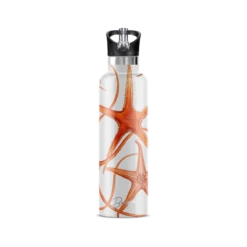 Stella Piscis Insulated Water Bottle With Flip 'N' Sip Lid -Other || Traffic People Shop tctxbjegxb3adqlffyct